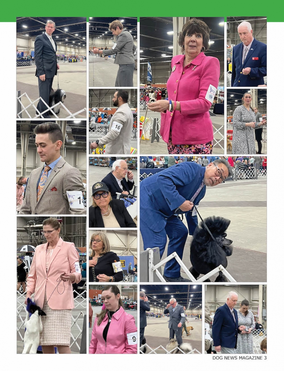 2024 Harrisburg Kennel Club Dog News